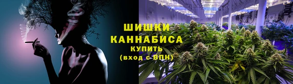 молекула духа Верхний Тагил
