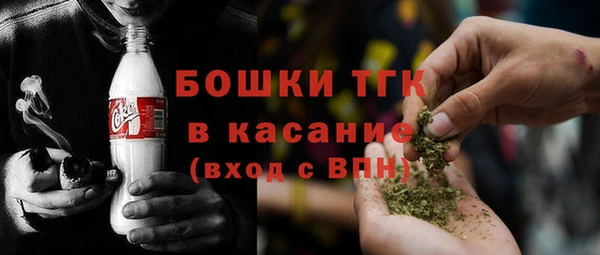 молекула духа Верхний Тагил
