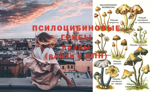 кокаин колумбия Верея