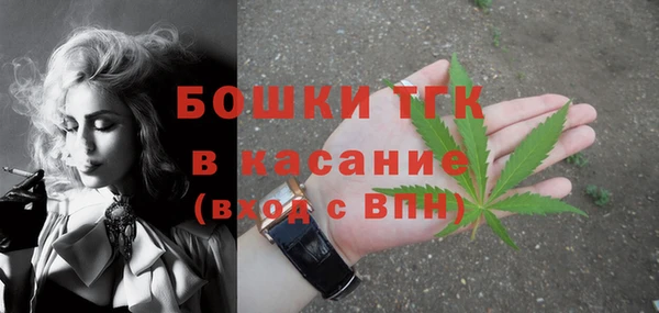 молекула духа Верхний Тагил