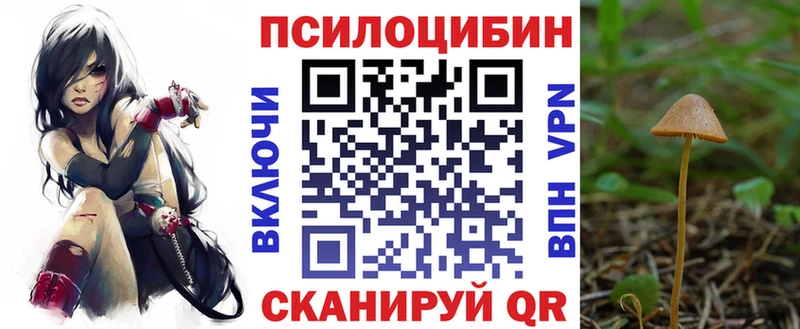 Галлюциногенные грибы Psilocybine cubensis Купить где Альметьевск