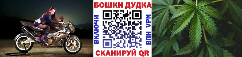 Конопля планчик Купить закладки Альметьевск